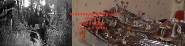 кокс Армянск