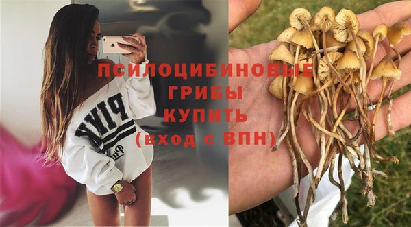 прущая мука Арсеньев