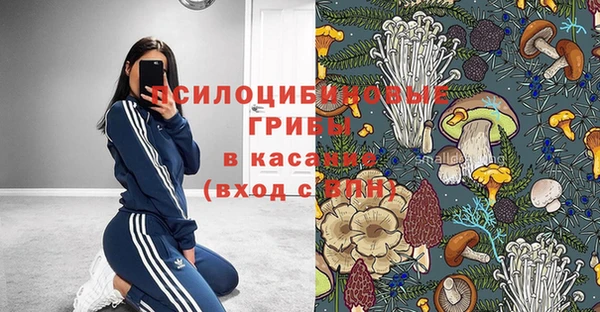 сатива Аркадак