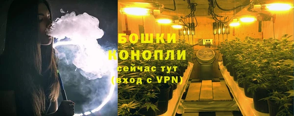 сатива Аркадак