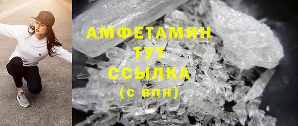 сатива Аркадак