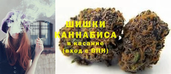 сатива Аркадак